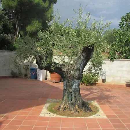 Nocleg ze śniadaniem La Valle Degli Ulivi Castrovillari